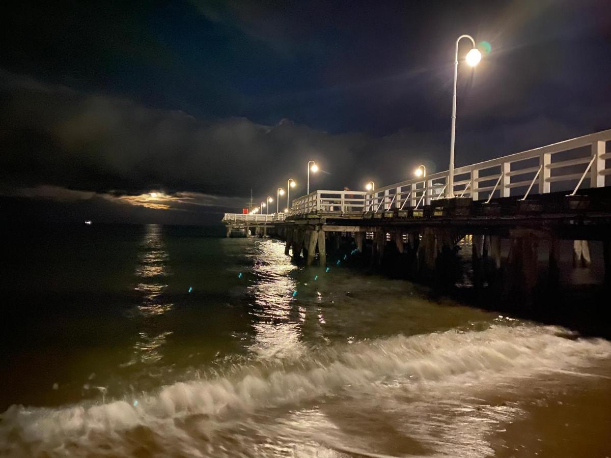 Seaview Octopus Sopot