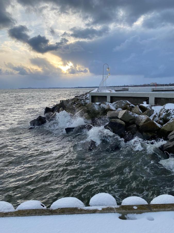 Seaview Octopus Sopot